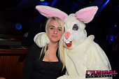 Photo 163 - TOUS A POILS