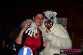 Photo 169 - TOUS A POILS