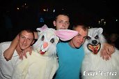 Photo 217 - TOUS A POILS
