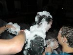 Photo 84 -  Chapiteau de Rumes