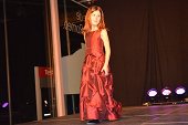 Photo 220 - Remise des echarpes Miss Tournai