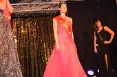 Photo 311 - Remise des echarpes Miss Tournai