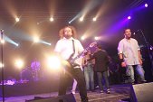 Photo 80 - Mister Cover - maximum Saul