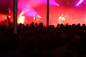 Photo 182 - Mister Cover - maximum Saul