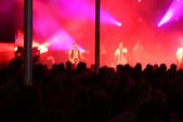 Photo 183 - Mister Cover - maximum Saul