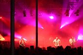 Photo 192 - Mister Cover - maximum Saul