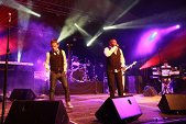 Photo 232 - Mister Cover - maximum Saul
