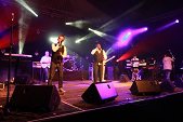 Photo 234 - Mister Cover - maximum Saul