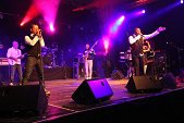 Photo 240 - Mister Cover - maximum Saul