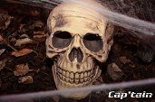 Photo 13 - SEXY HORROR 