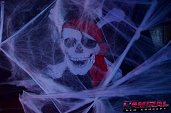 Photo 196 - SEXY HORROR 