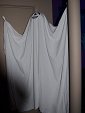 Photo 50 - Happy Halloween