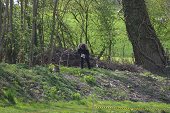 Photo 10 - Chasse aux oeufs