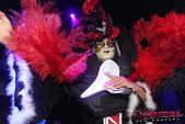 Photo 34 - BAL MASQUE