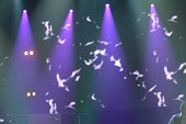 Photo 31 - Concert de Frederic Francois