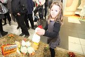 Photo 101 - La roue des cadeaux