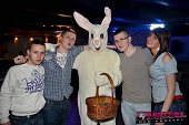 Photo 2 - BUNNIES PARTY