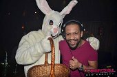 Photo 3 - BUNNIES PARTY