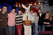 Photo 36 - BUNNIES PARTY