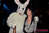 Photo 41 - BUNNIES PARTY