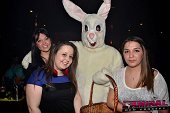 Photo 43 - BUNNIES PARTY