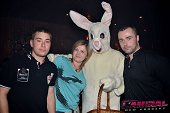Photo 44 - BUNNIES PARTY