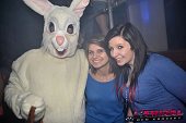 Photo 46 - BUNNIES PARTY