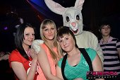 Photo 47 - BUNNIES PARTY