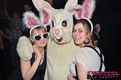 Photo 48 - BUNNIES PARTY