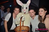 Photo 49 - BUNNIES PARTY