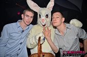 Photo 50 - BUNNIES PARTY