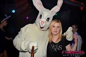 Photo 51 - BUNNIES PARTY