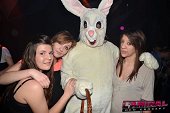 Photo 52 - BUNNIES PARTY