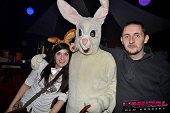 Photo 53 - BUNNIES PARTY