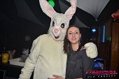 Photo 54 - BUNNIES PARTY