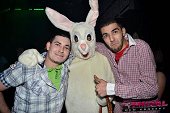 Photo 55 - BUNNIES PARTY