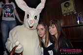Photo 57 - BUNNIES PARTY