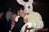 Photo 58 - BUNNIES PARTY