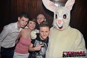 Photo 59 - BUNNIES PARTY