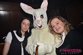 Photo 60 - BUNNIES PARTY