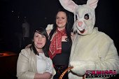 Photo 61 - BUNNIES PARTY