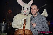 Photo 62 - BUNNIES PARTY
