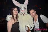 Photo 63 - BUNNIES PARTY