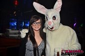 Photo 64 - BUNNIES PARTY