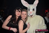 Photo 65 - BUNNIES PARTY