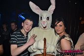 Photo 66 - BUNNIES PARTY