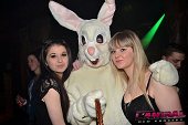 Photo 67 - BUNNIES PARTY