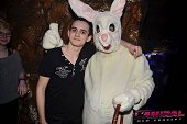 Photo 72 - BUNNIES PARTY