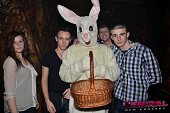 Photo 75 - BUNNIES PARTY
