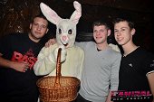 Photo 76 - BUNNIES PARTY